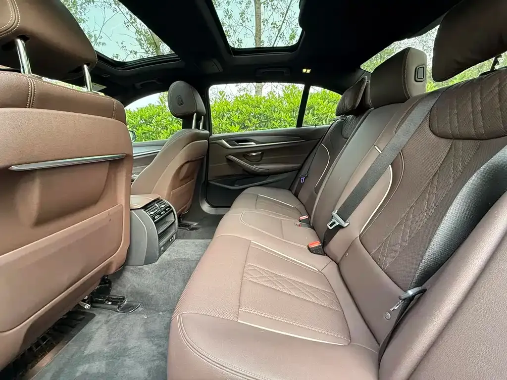 BMW 5 Series New Energy 2021 из CN, фото 2