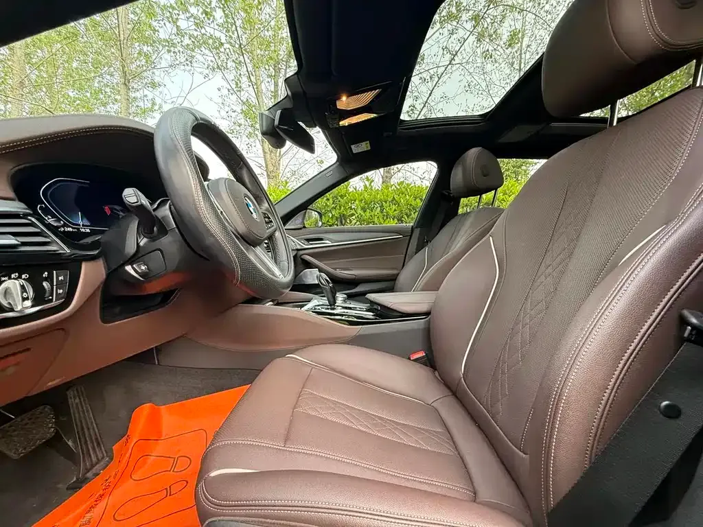 BMW 5 Series New Energy 2021 из CN, фото 8