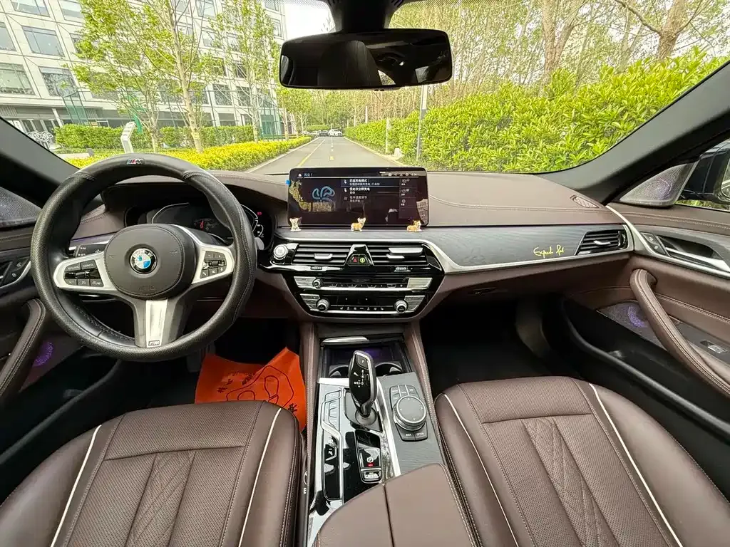BMW 5 Series New Energy 2021 из CN, фото 9