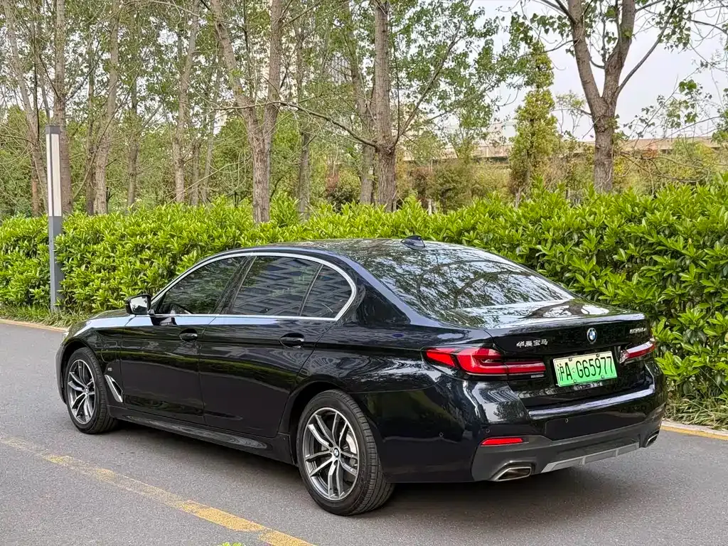 BMW 5 Series New Energy 2021 из CN, фото 6