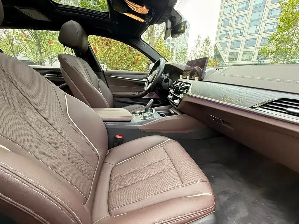 BMW 5 Series New Energy 2021 из CN, фото 5