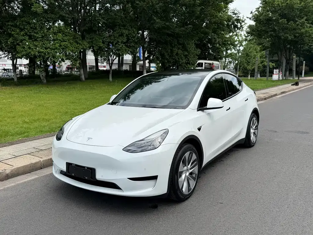 Tesla Model Y — фото 1