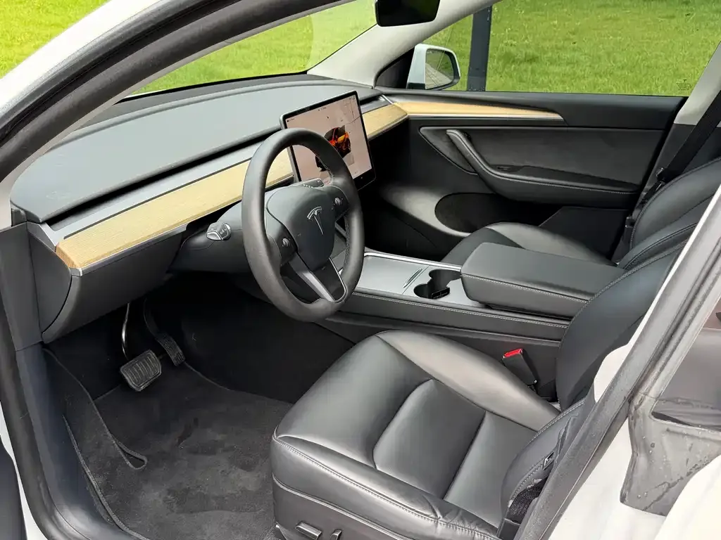 Tesla Model Y — фото 10