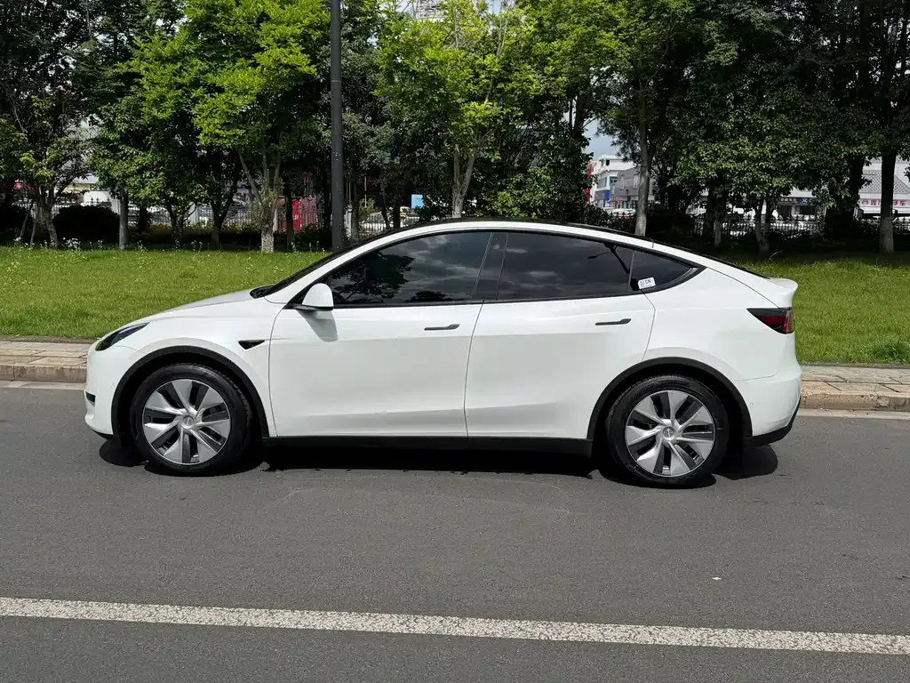 Tesla Model Y — фото 8