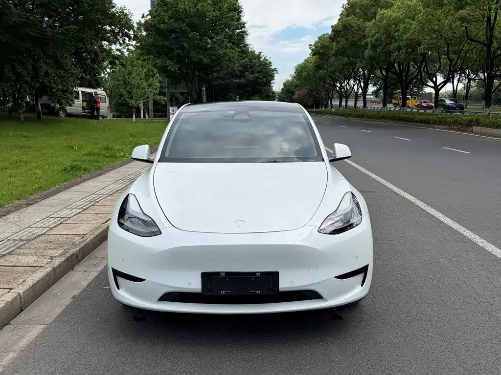 Tesla Model Y — фото 6