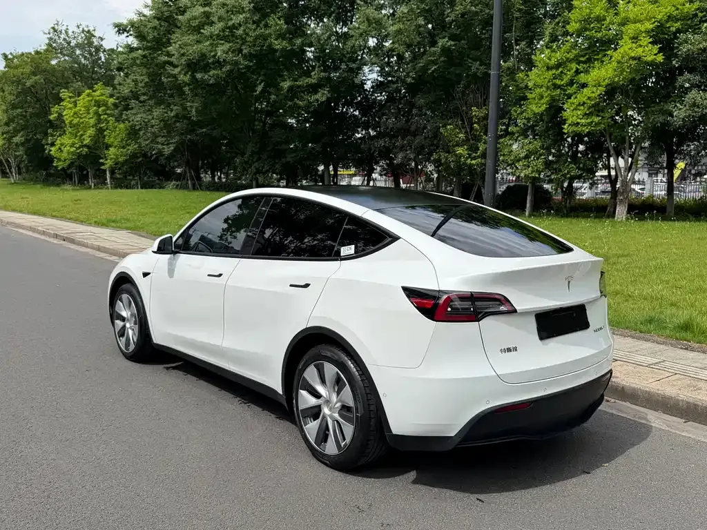 Tesla Model Y — фото 2