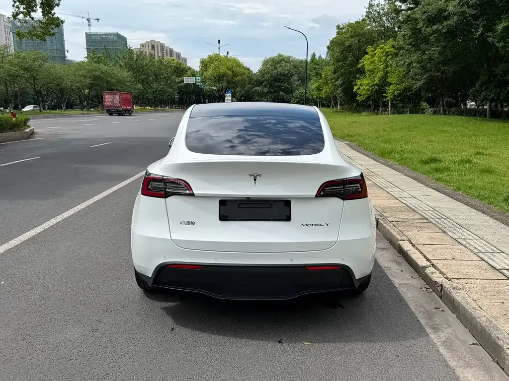 Tesla Model Y — фото 9
