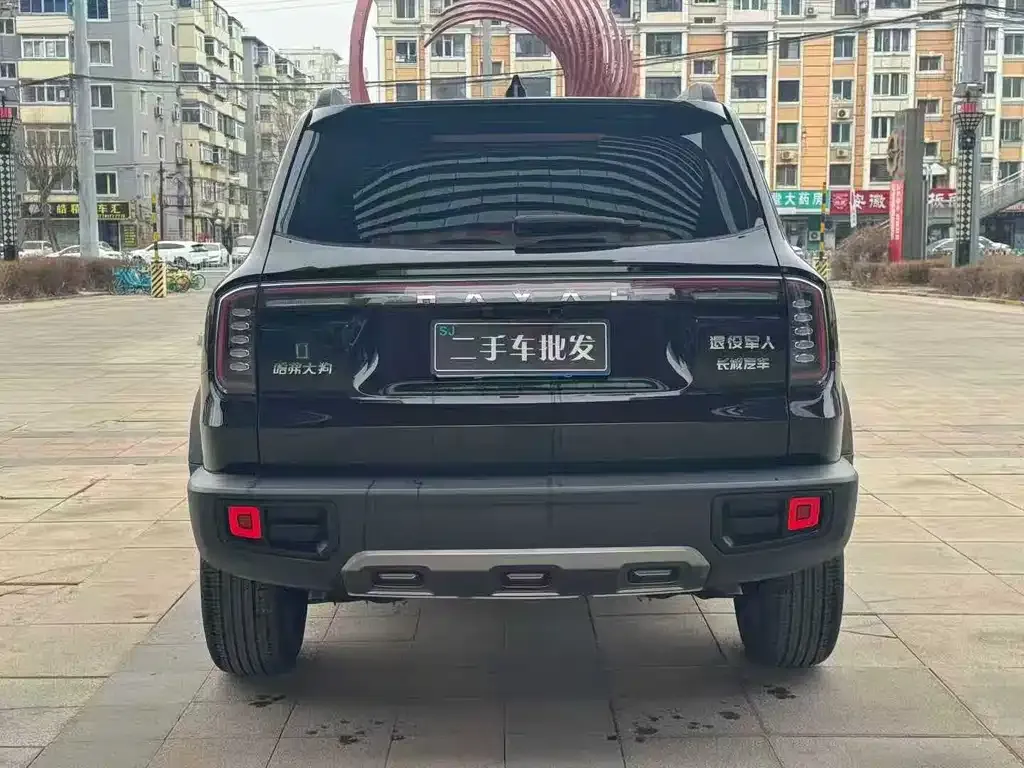 Haval Big Dog 2024 из CN, фото 7