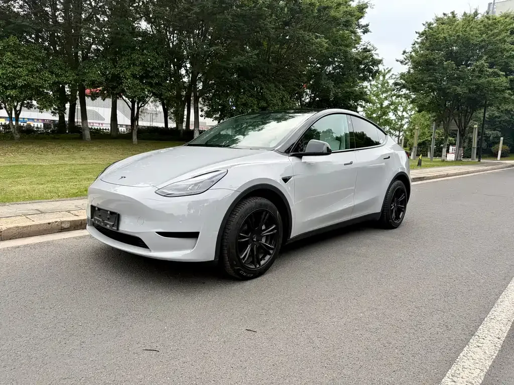 Tesla Model Y — фото 1