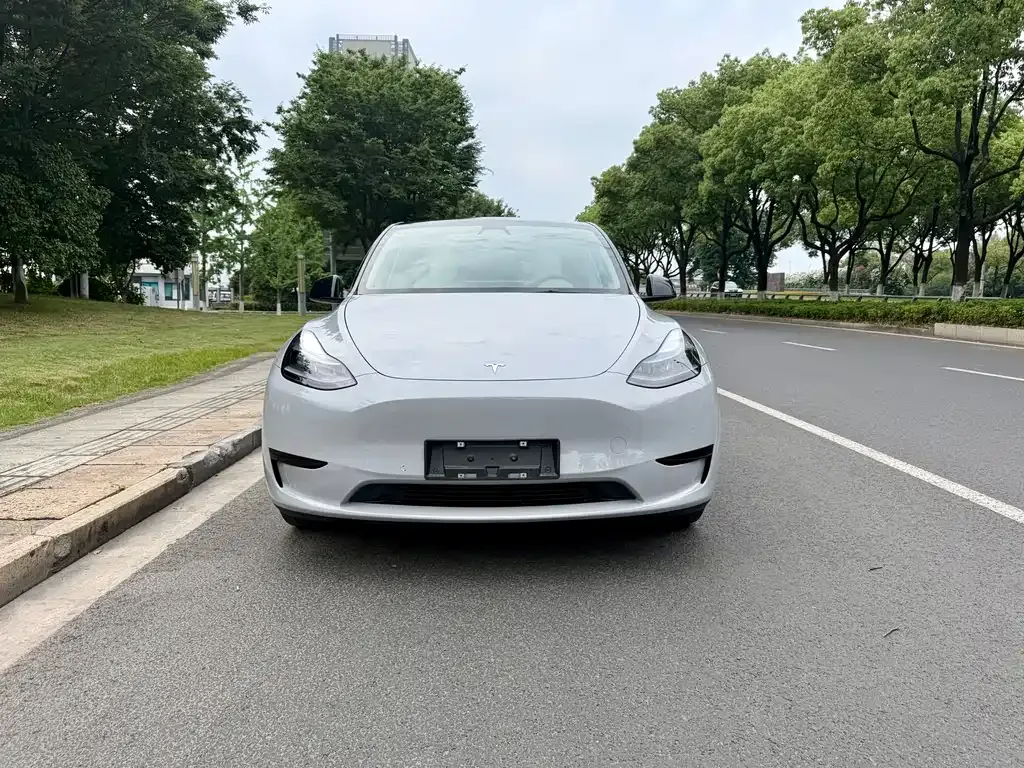 Tesla Model Y — фото 10