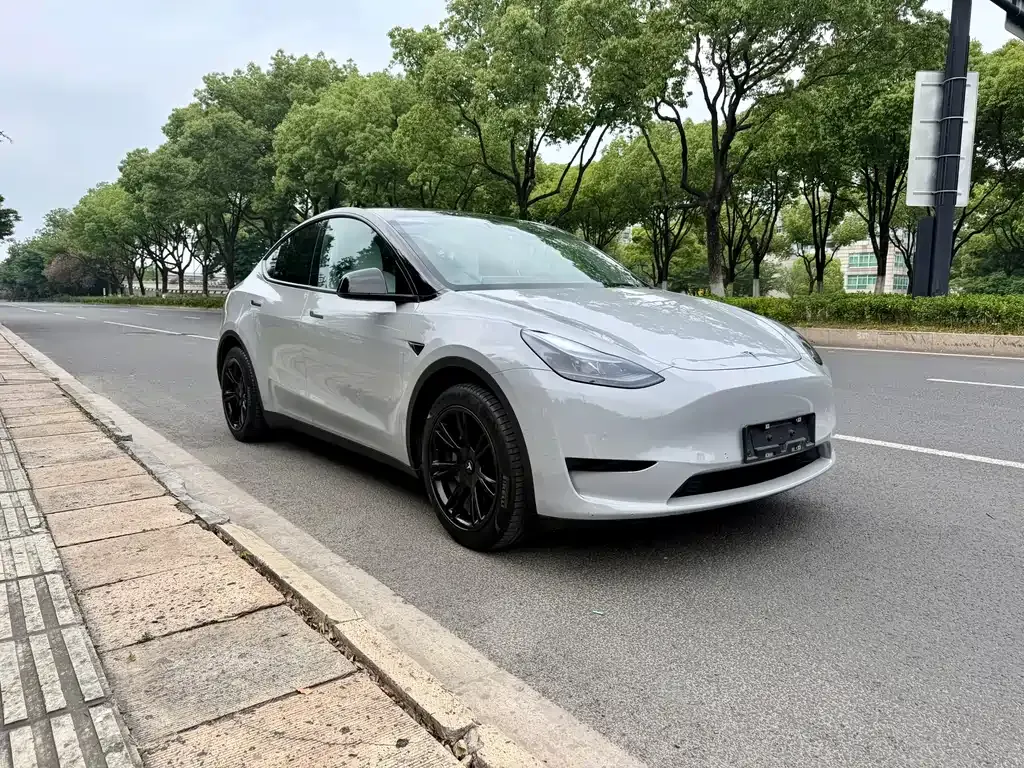 Tesla Model Y — фото 4