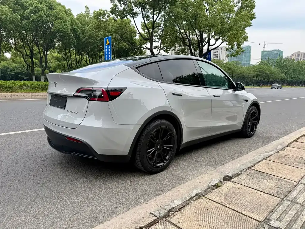 Tesla Model Y — фото 6