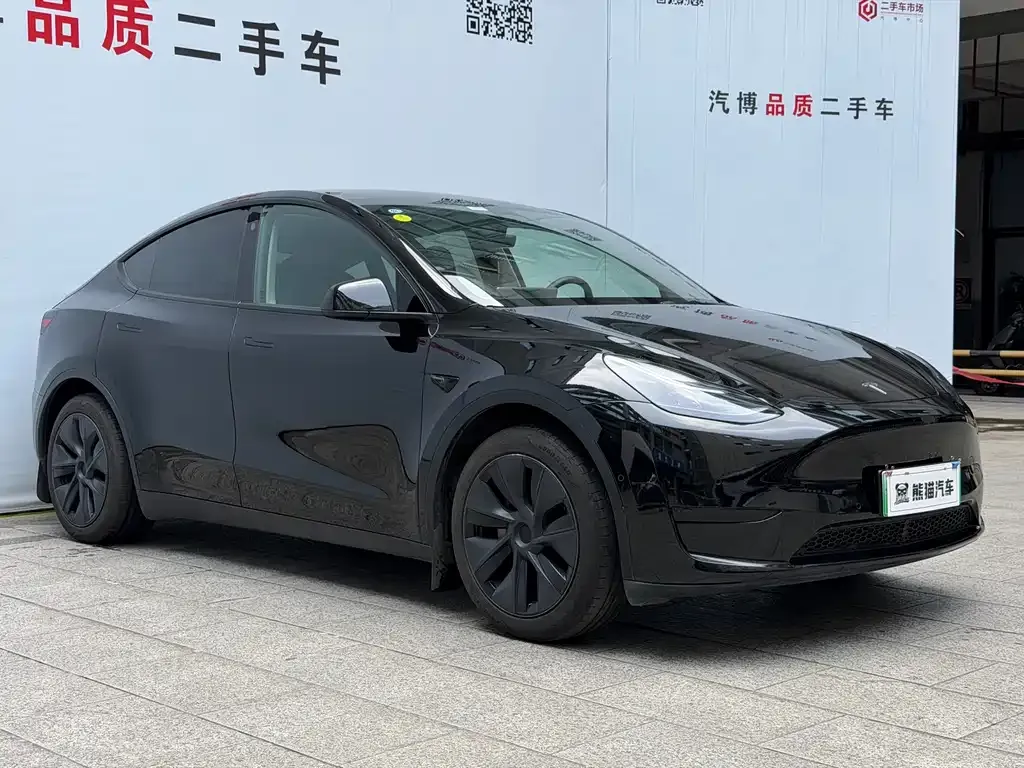 Tesla Model Y — фото 9