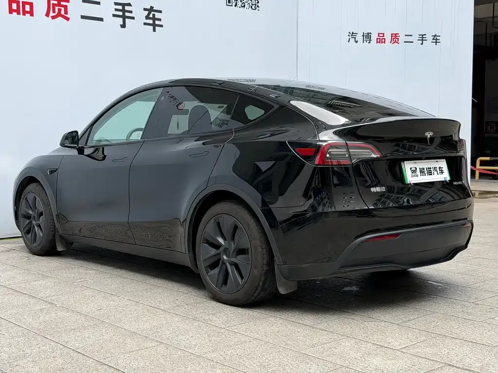 Tesla Model Y — фото 10