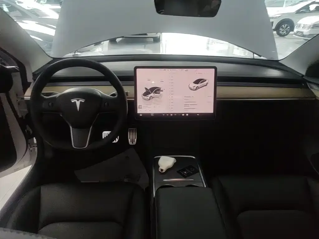 Tesla Model 3 2022 из CN, фото 2