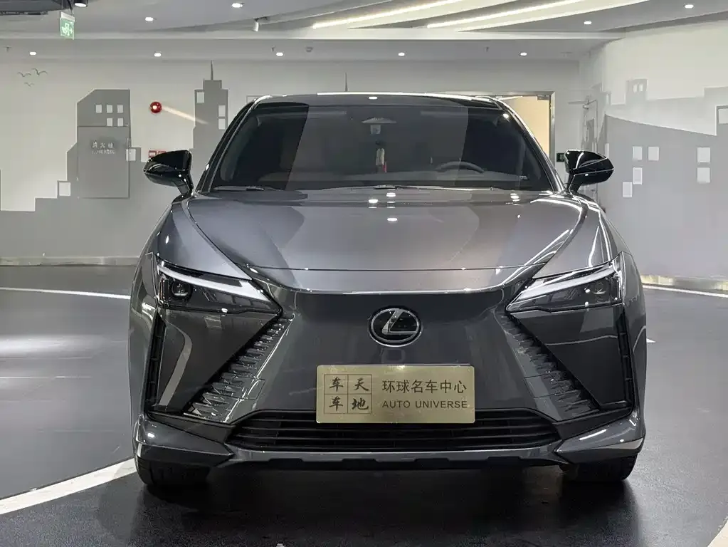 Lexus RZ — фото 9