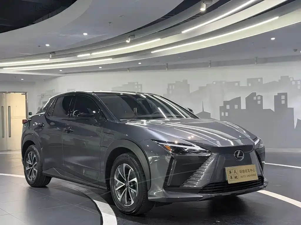 Lexus RZ — фото 6