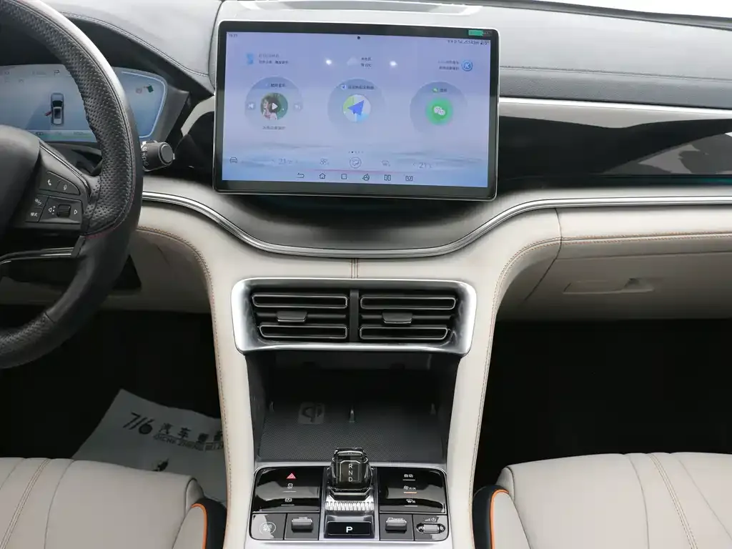 BYD PLUS New Energy — фото 5