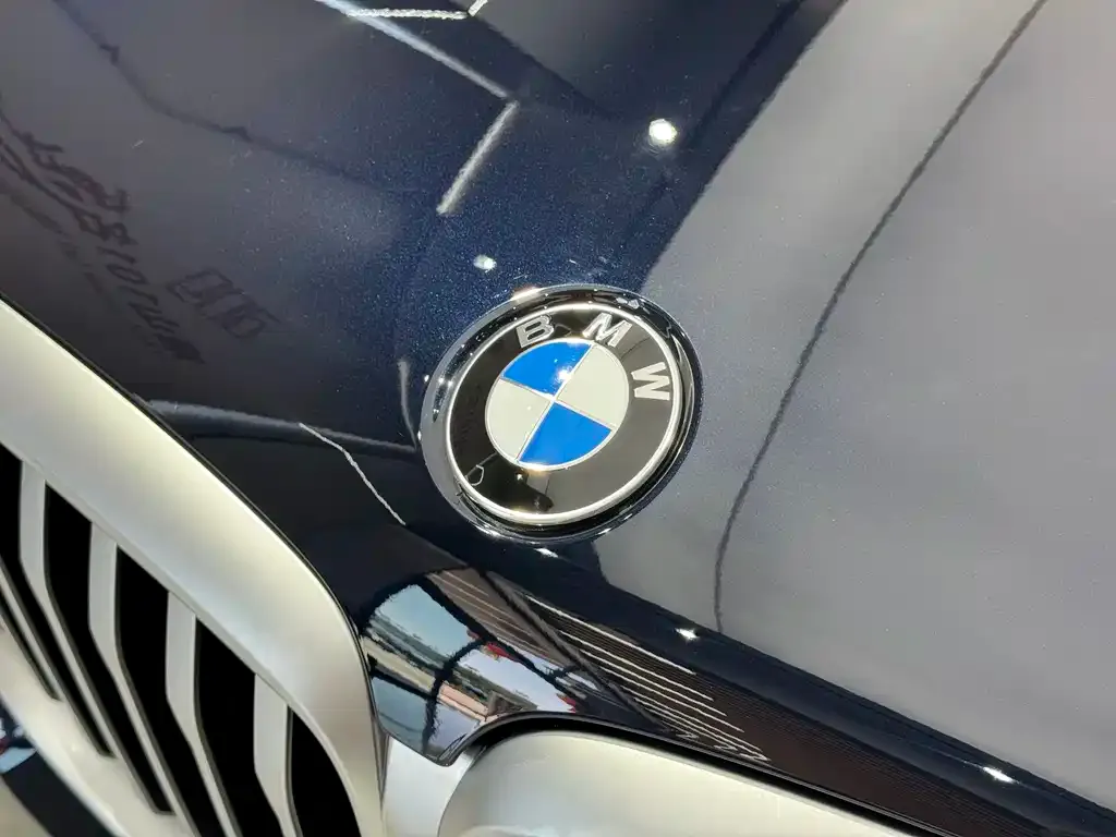 BMW X5 — фото 3