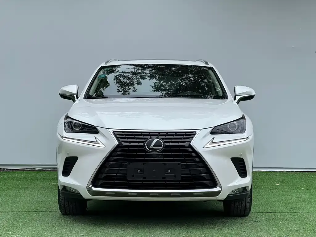 Lexus NX 2021 из CN, фото 4