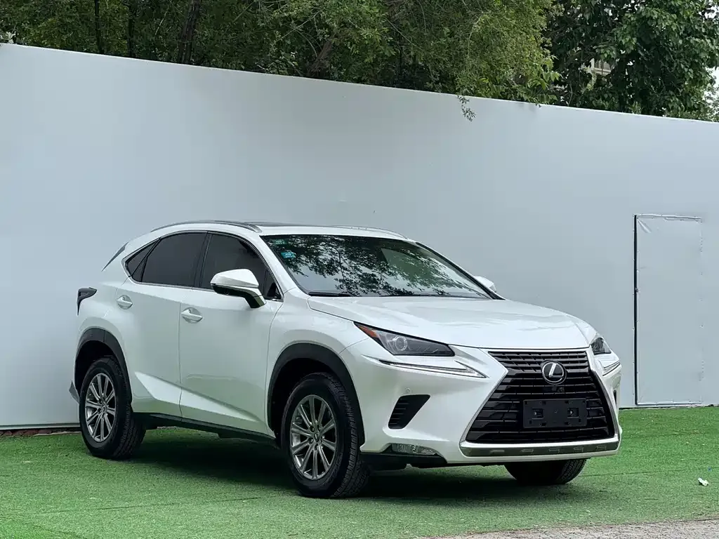 Lexus NX 2021 из CN, фото 5