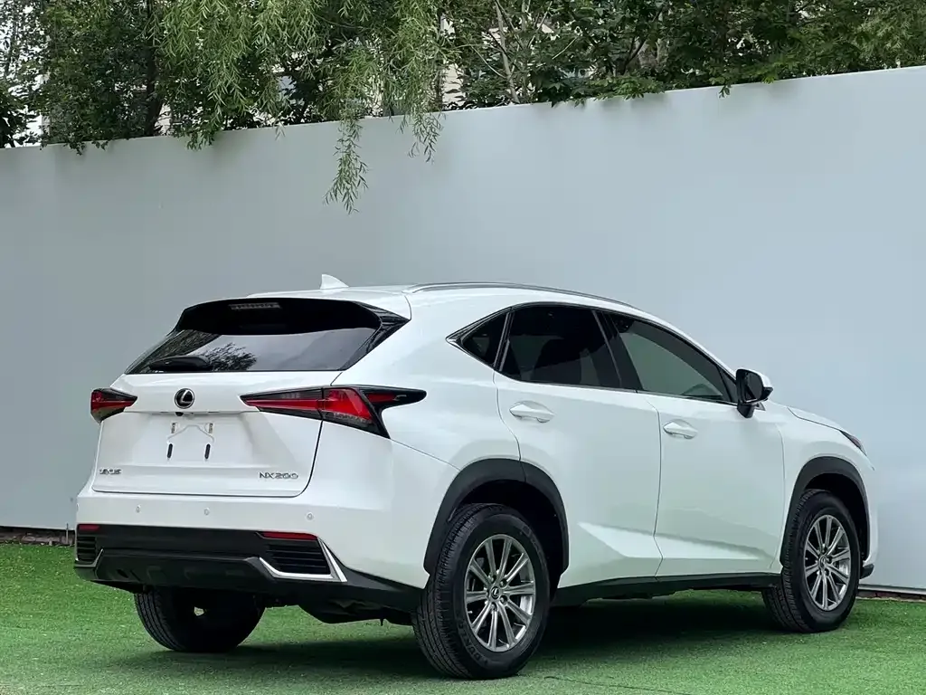 Lexus NX 2021 из CN, фото 8