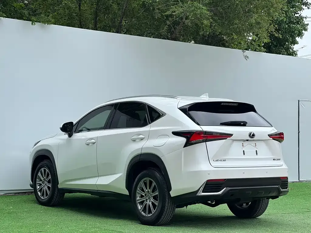 Lexus NX 2021 из CN, фото 9