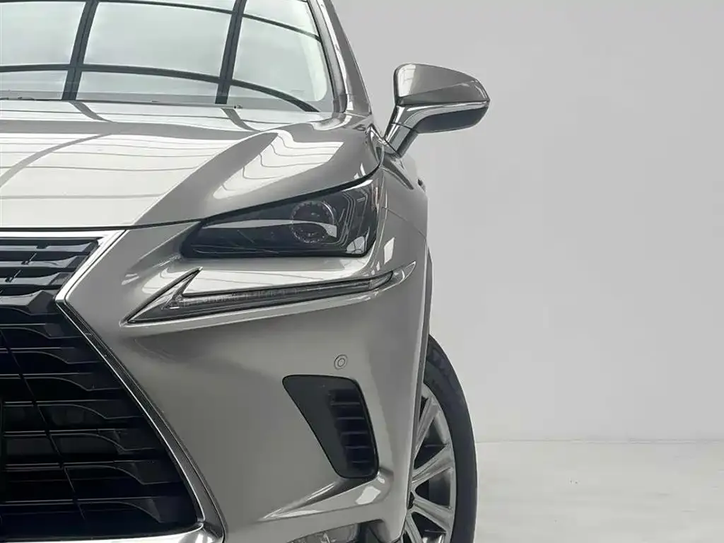 Lexus NX 2021 из CN, фото 2