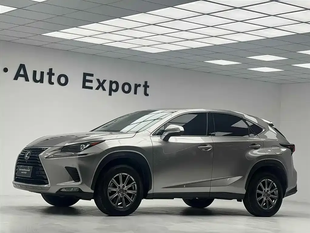 Lexus NX 2021 из CN, фото 6