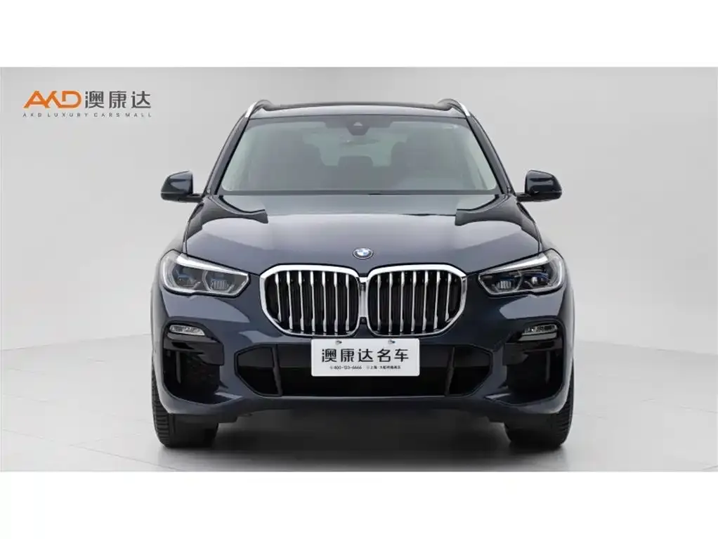 BMW X5 (Import) 2021 из CN, фото 8