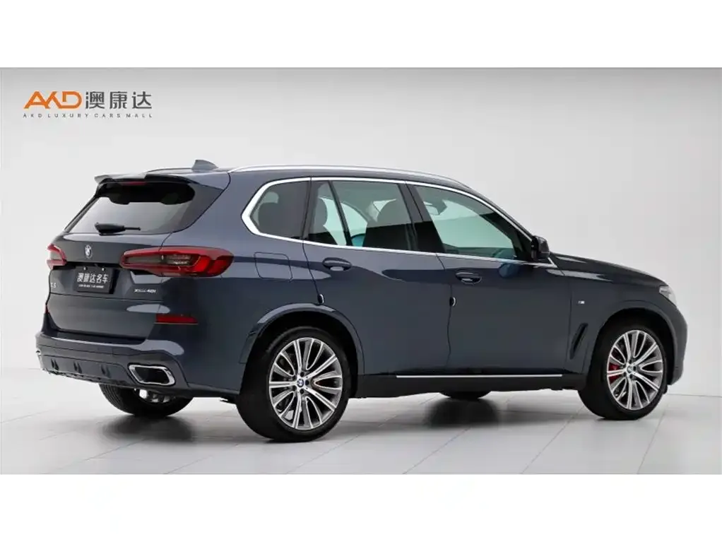BMW X5 (Import) 2021 из CN, фото 3