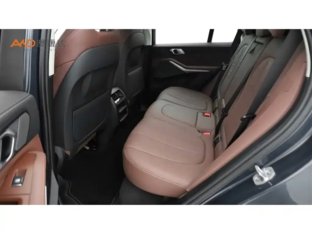 BMW X5 (Import) 2021 из CN, фото 10