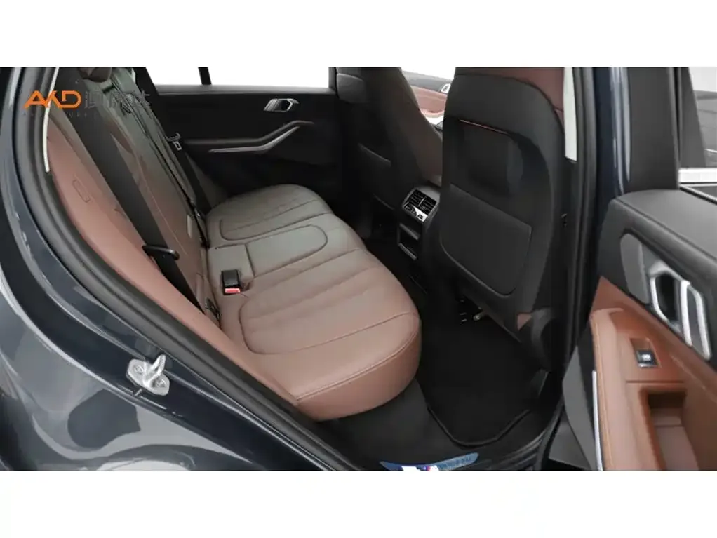 BMW X5 (Import) 2021 из CN, фото 7