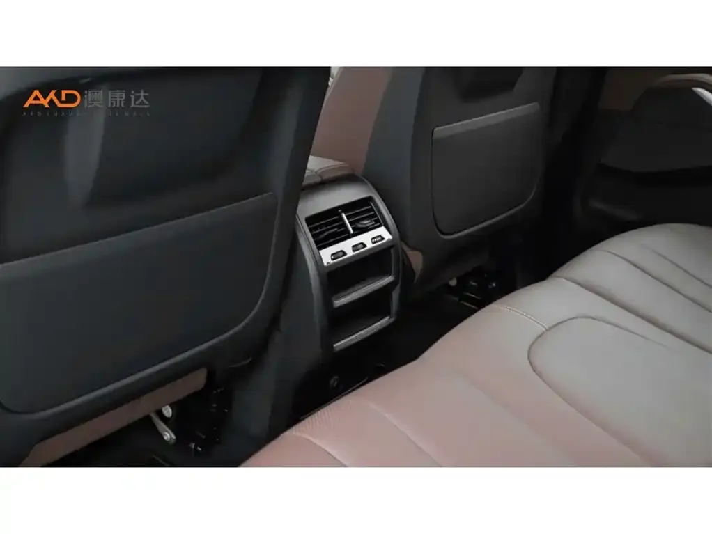BMW X5 (Import) 2021 из CN, фото 9