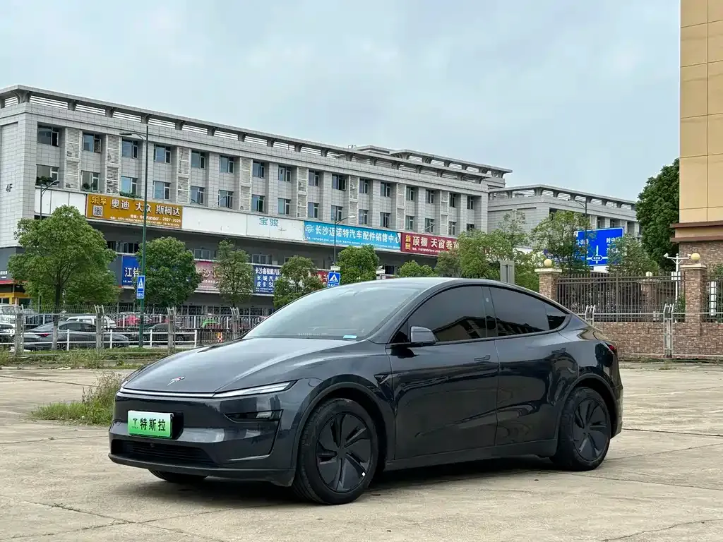 Tesla Model Y — фото 1