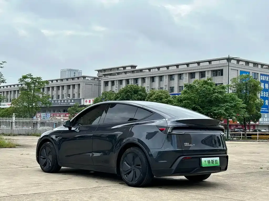 Tesla Model Y — фото 10