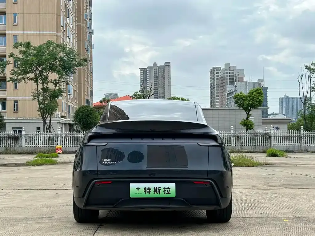 Tesla Model Y — фото 8
