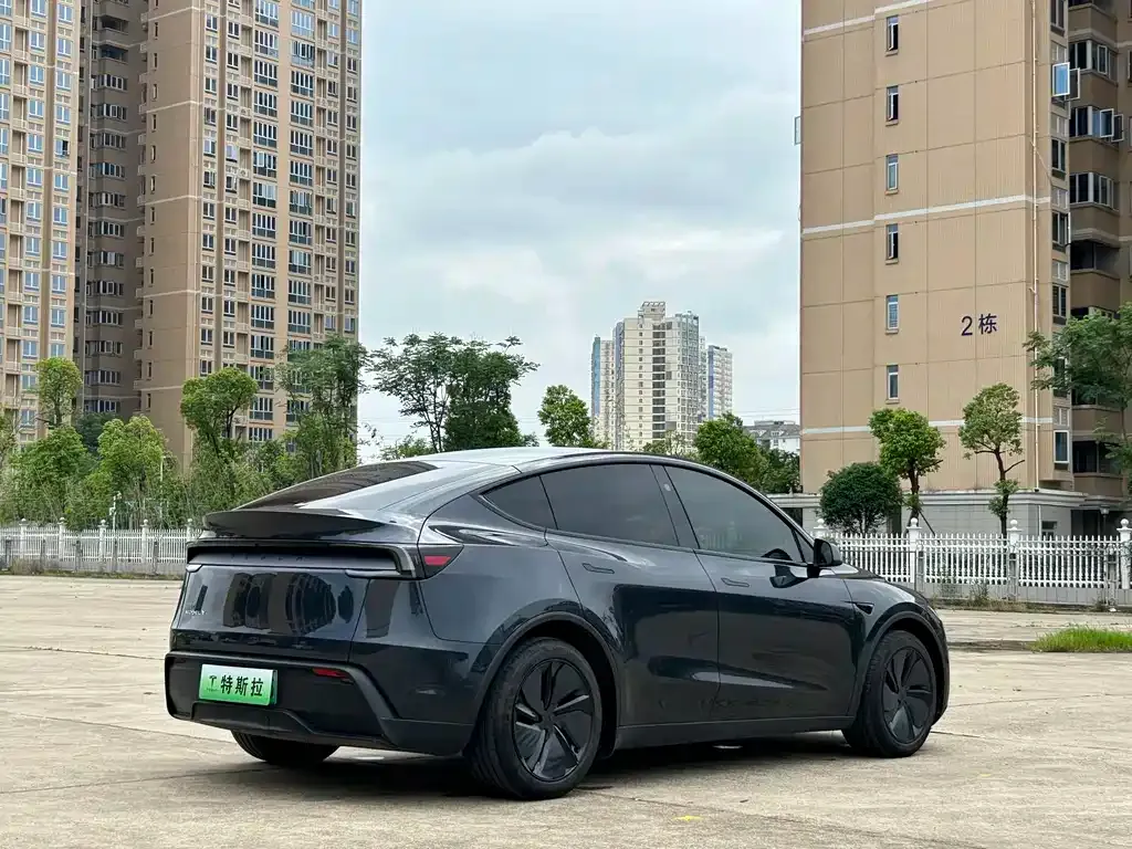 Tesla Model Y — фото 9