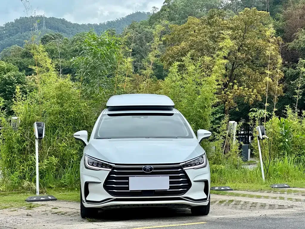 BYD MAX New Energy 2022 из CN, фото 10