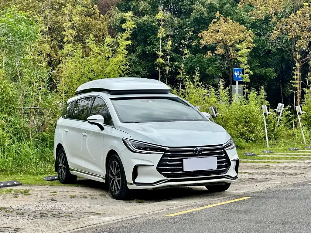 BYD MAX New Energy 2022 из CN, фото 9
