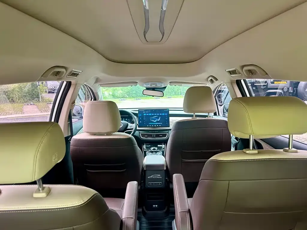 BYD MAX New Energy 2022 из CN, фото 7