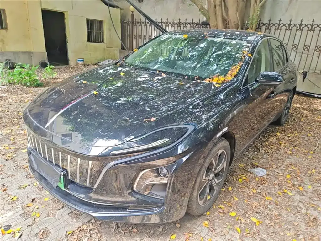 Hongqi E-QM5
