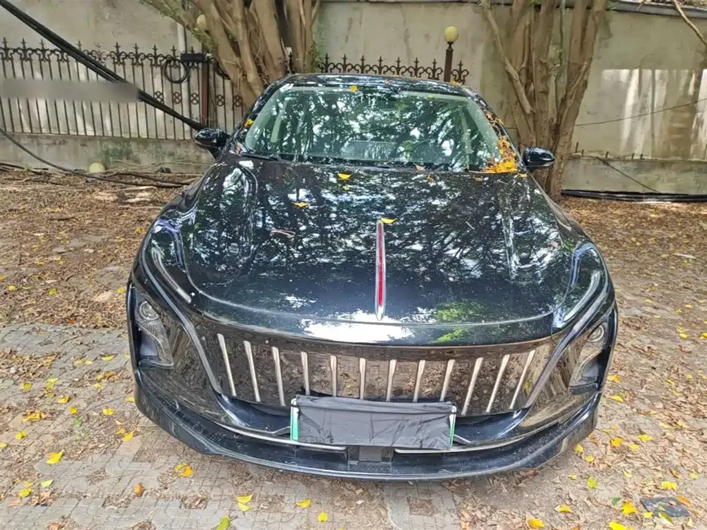 Hongqi E-QM5 2023 из CN, фото 10