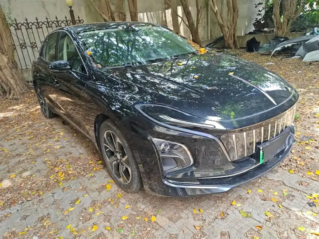 Hongqi E-QM5 2023 из CN, фото 7