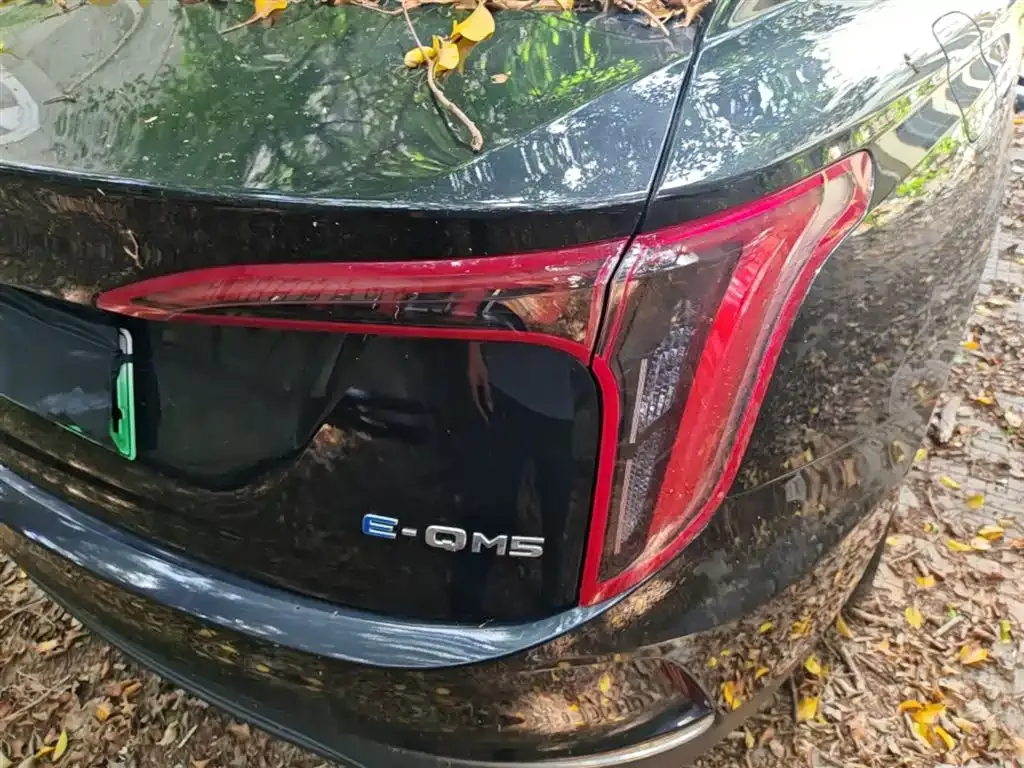 Hongqi E-QM5 2023 из CN, фото 4