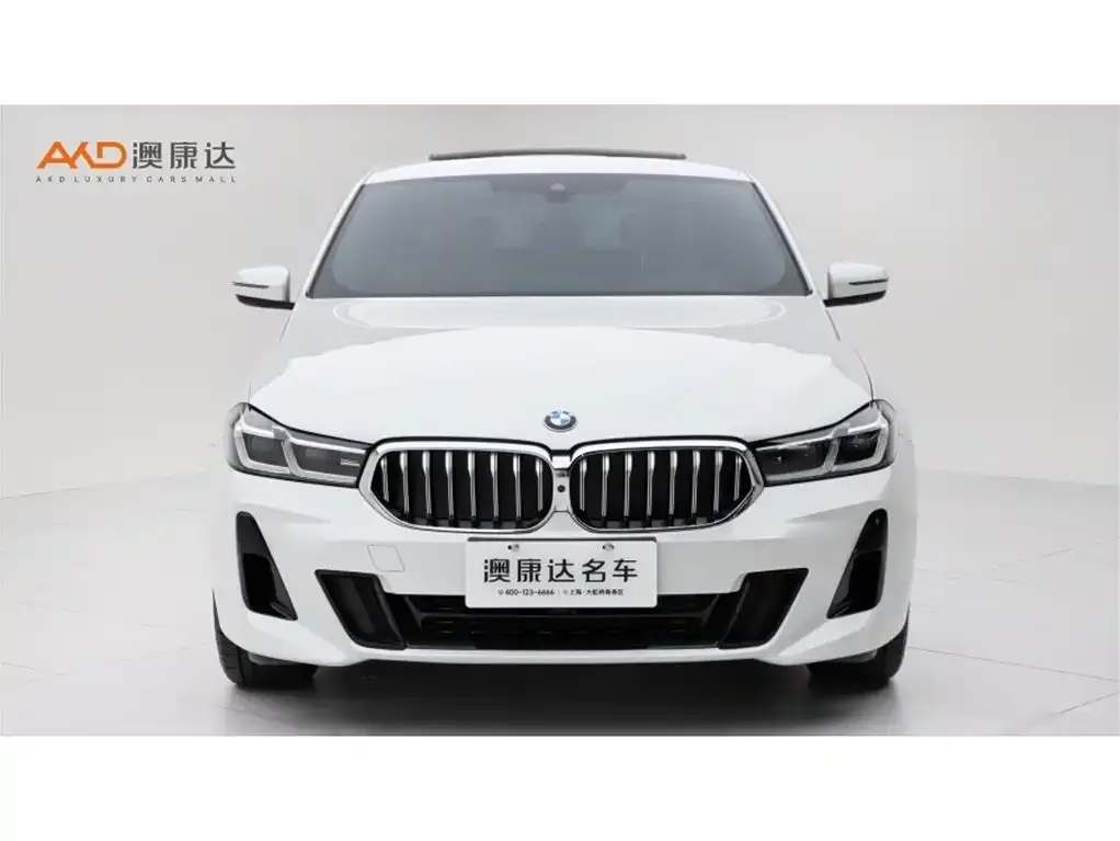 BMW 6 Series GT 2022 из CN, фото 3