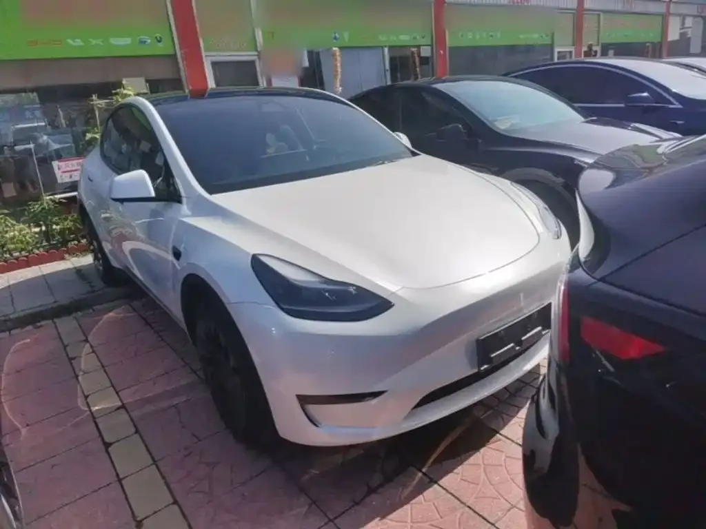 Tesla Model Y — фото 2