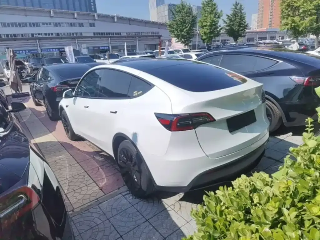 Tesla Model Y — фото 10