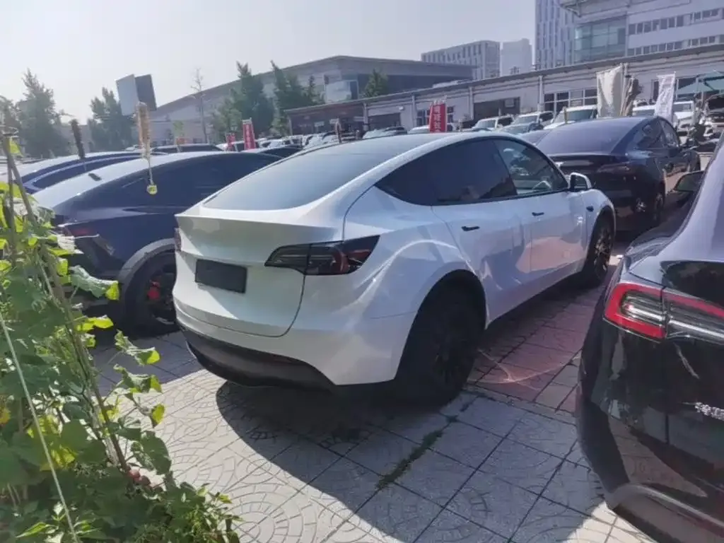 Tesla Model Y — фото 9