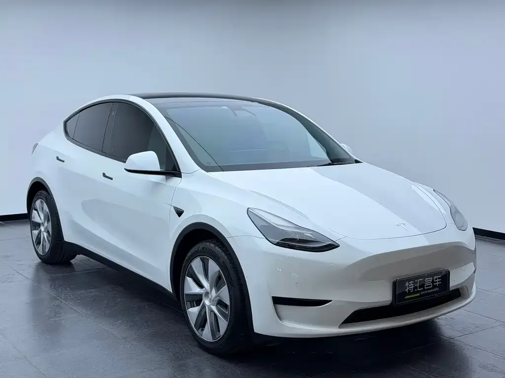 Tesla Model Y — фото 8